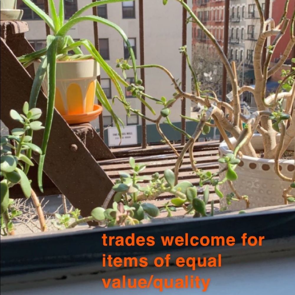 Trade policy
